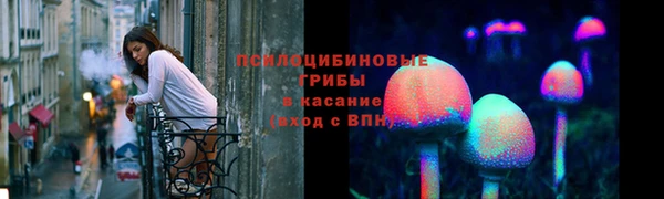 соль ск Алзамай