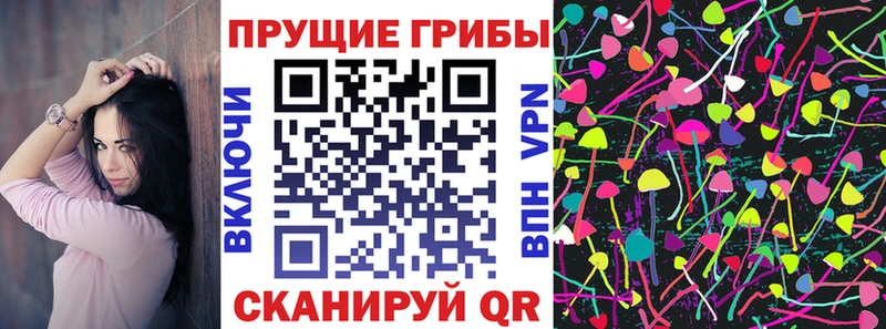 Галлюциногенные грибы мицелий  ссылка на мегу онион  Шилка 